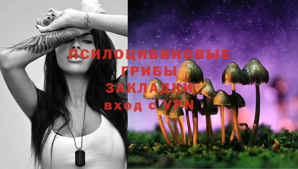 дмт Горнозаводск