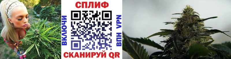 Купить  Клин  Каннабис план 
